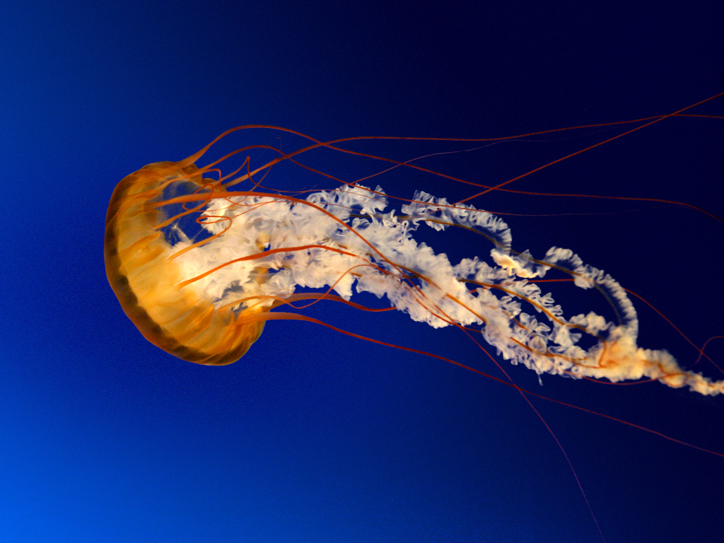 Welcome to new IBE Galileo